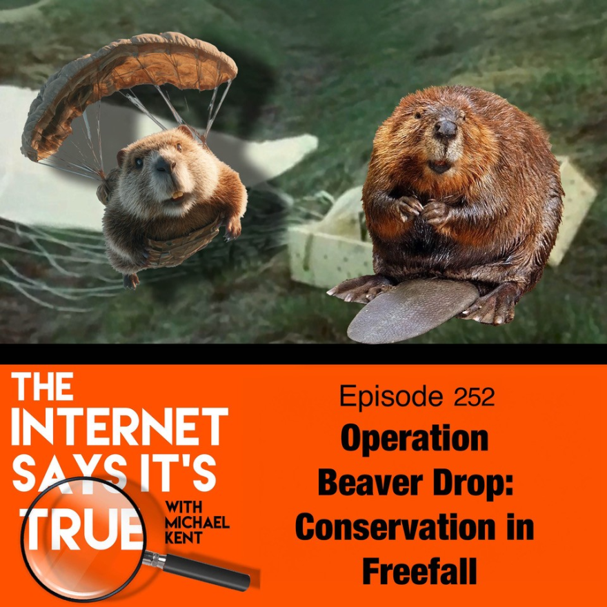 Operation Beaver Drop: Conservation in Freefall